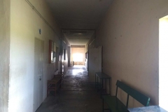IMG_20201001_130134094